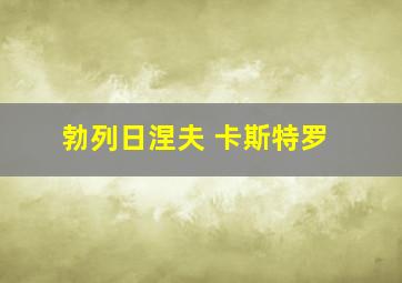 勃列日涅夫 卡斯特罗